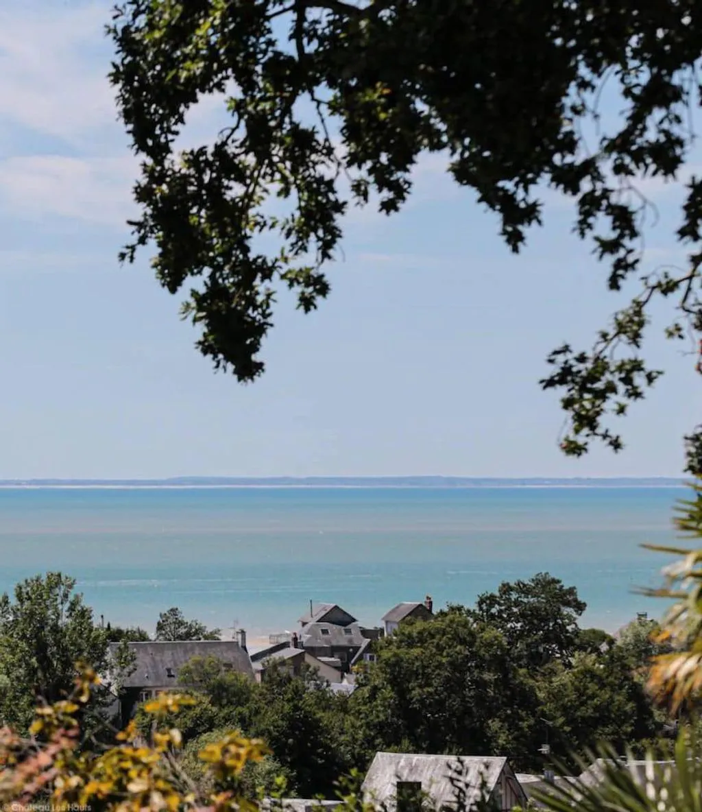 Château Les Hauts à Saint-Jean-le-Thomas, photo 5