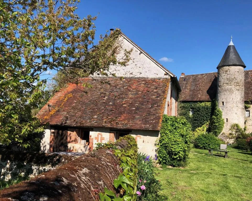 Château Mareuil à Brigueil-le-Chantre, photo 6