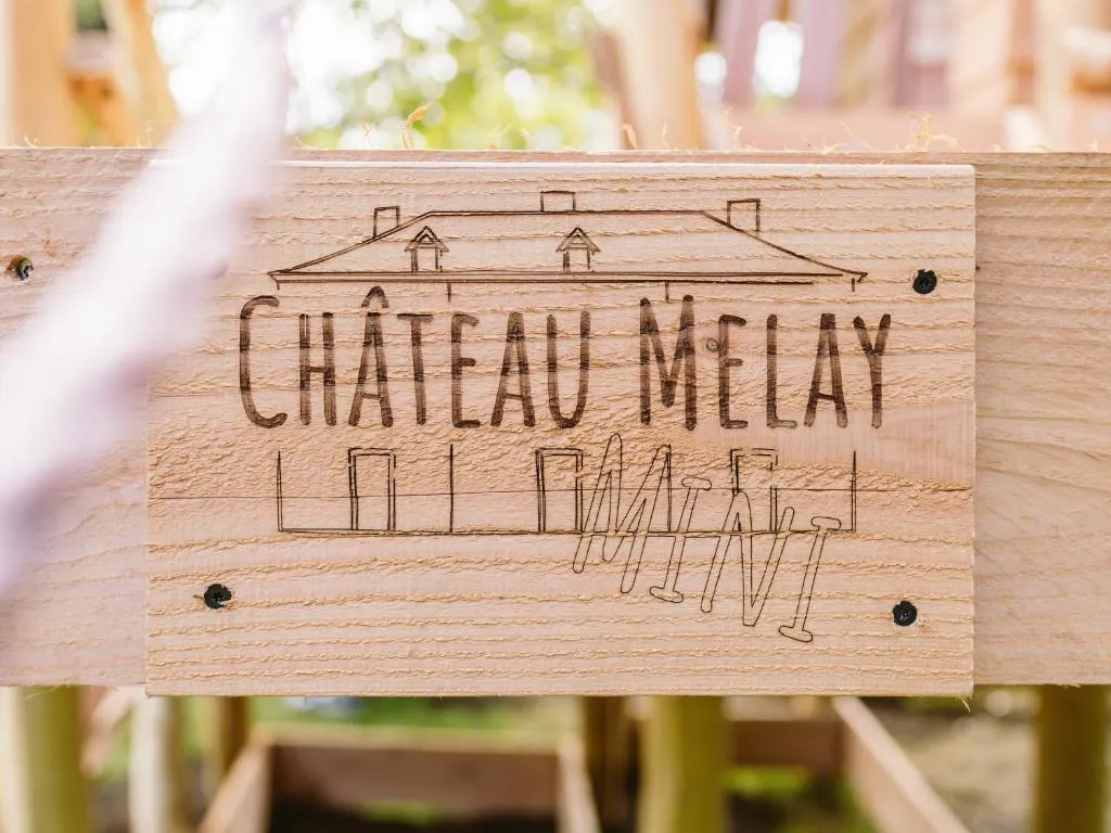 Château Melay à Melay, photo 6