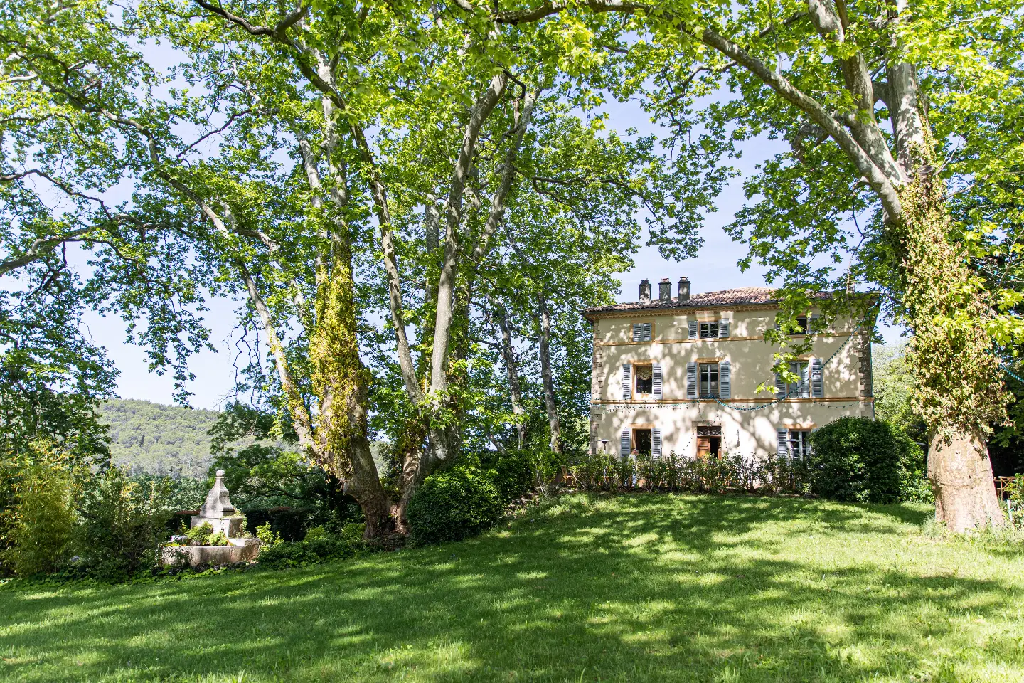 Château Mentone, château viticole à Saint-Antonin-du-Var