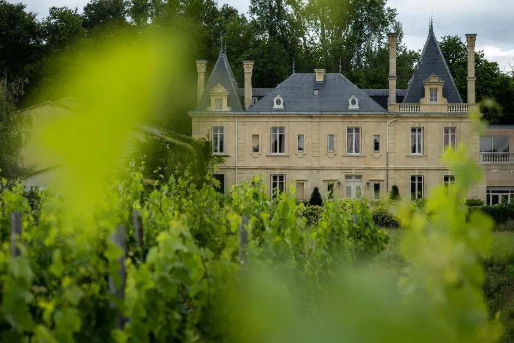 Château Meyre à Avensan, photo 7