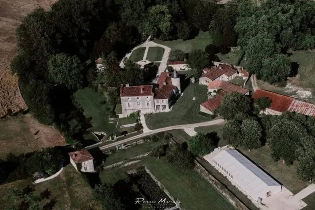 Château Mouillepied à Port-d'Envaux, photo 3