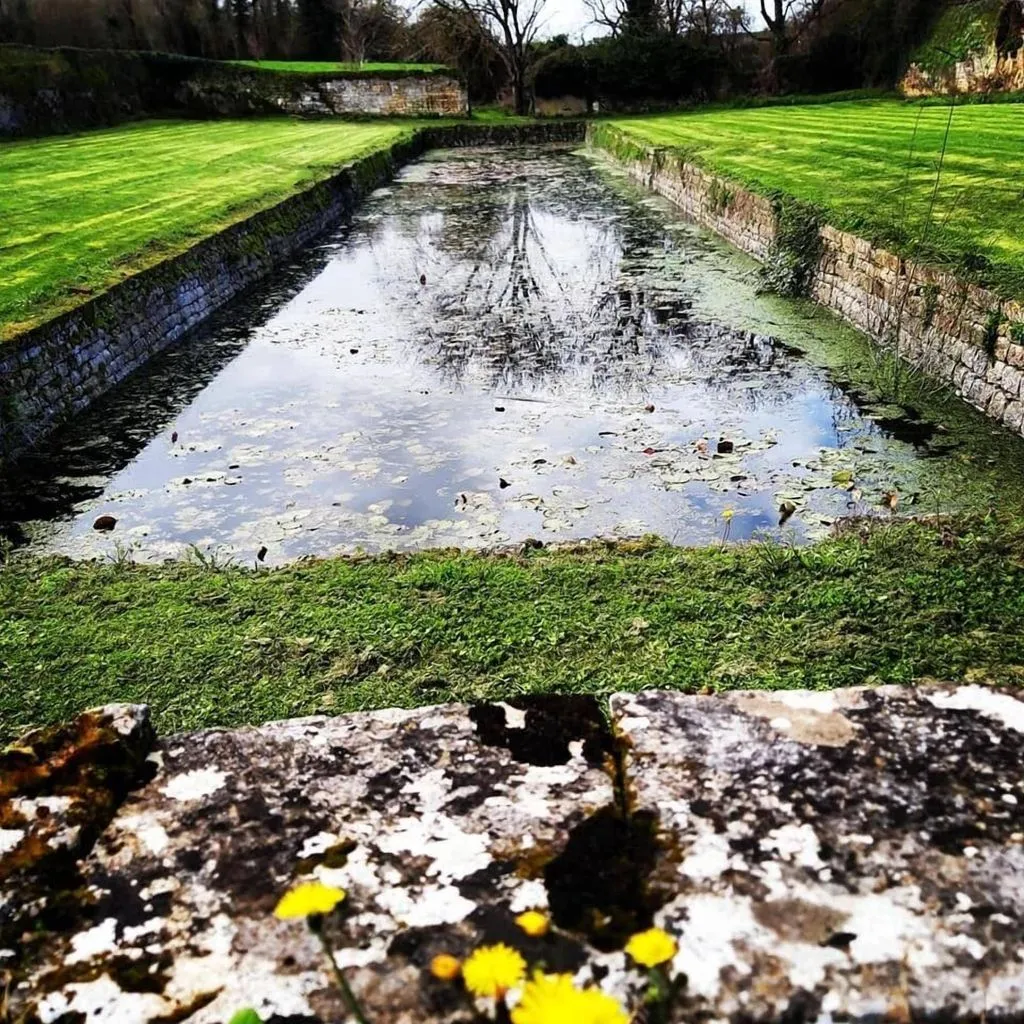 Château Mouillepied à Port-d'Envaux, photo 7