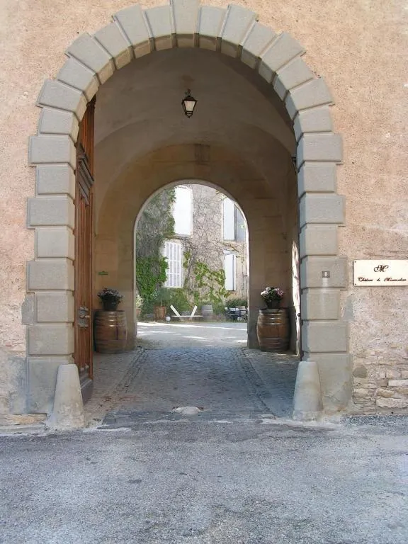 Château Moussoulens à Moussoulens, photo 3