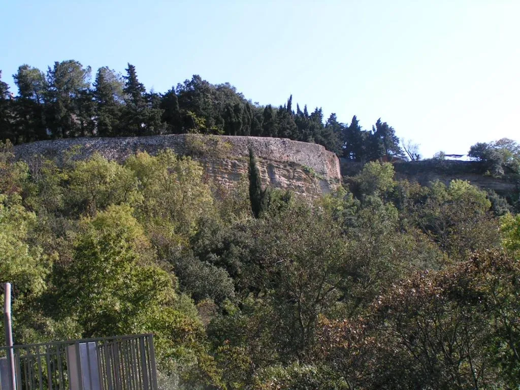Château Moussoulens à Moussoulens, photo 4