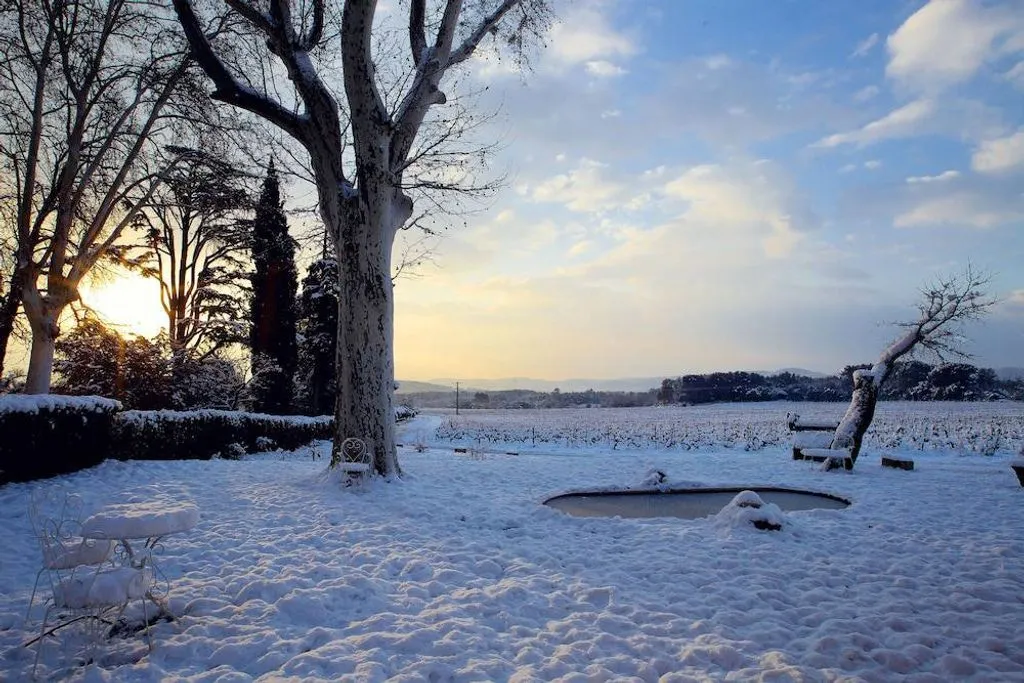 Château Nestuby à Cotignac, photo 6
