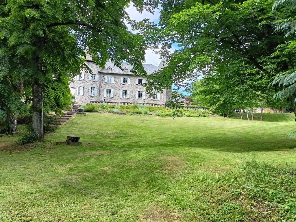Château Ol Puech, chambre ou suite de château à Vic-sur-Cère
