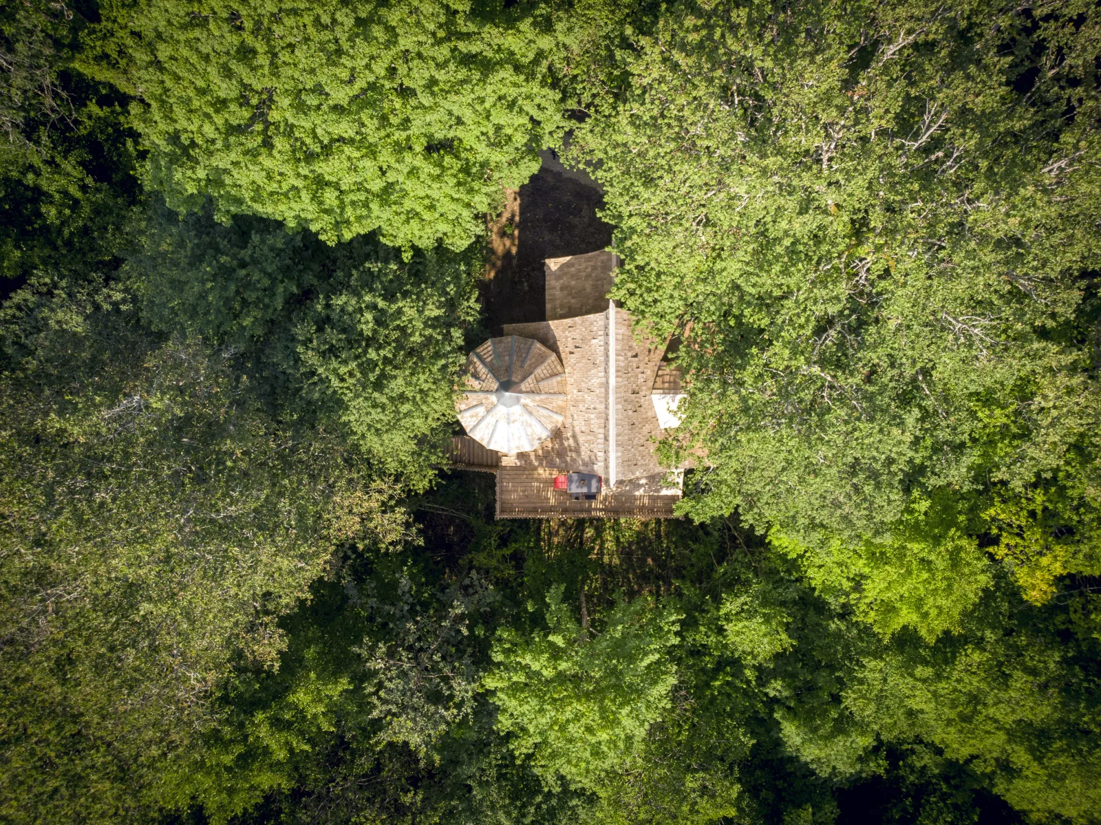 Château perché de la Cigogne noire, château dans les arbres à Vernois-lès-Vesvres