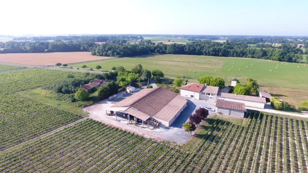 Château Pierre de Montignac à Civrac-en-Médoc, photo 5
