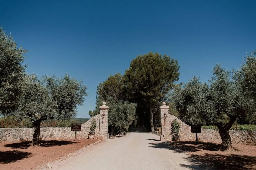 Château Rasque à Taradeau, photo 4