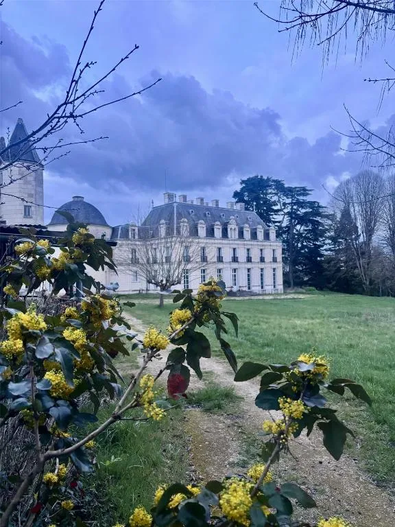 Château Royal de Benays à Benais, photo 4