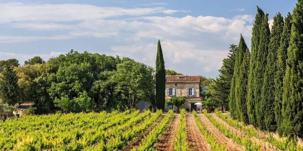 Château Saint-Esprit à Draguignan, photo 5