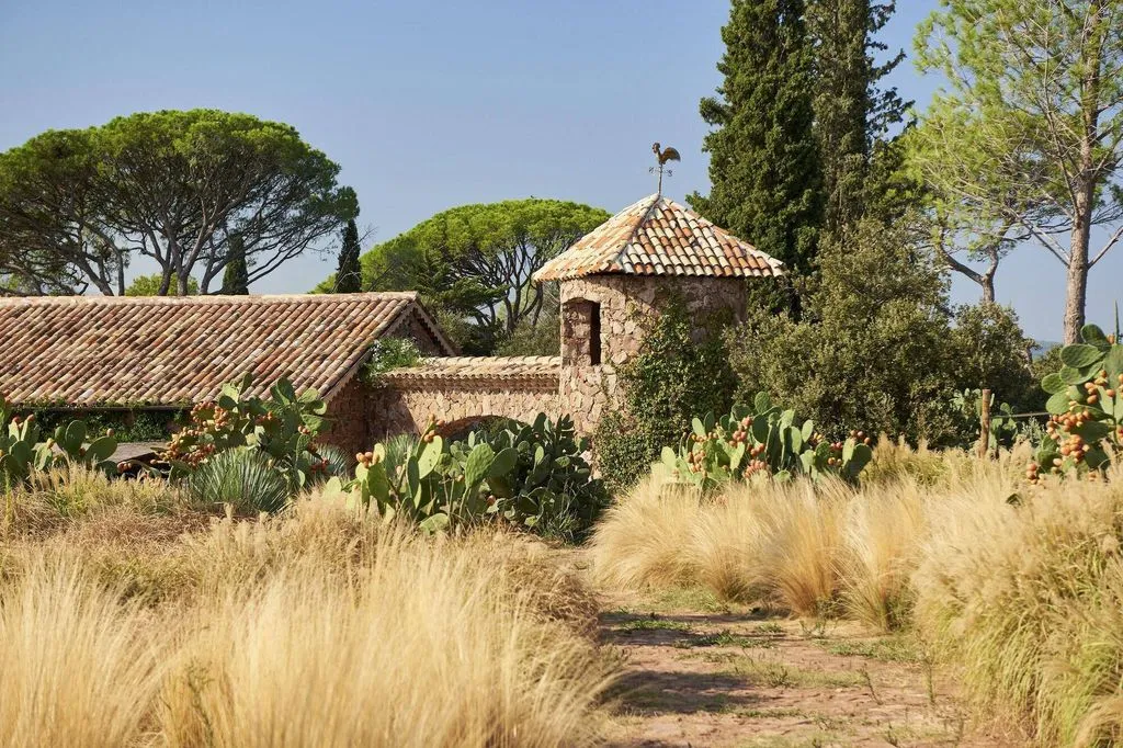 Château Saint-Roux à Le Cannet-des-Maures, photo 2