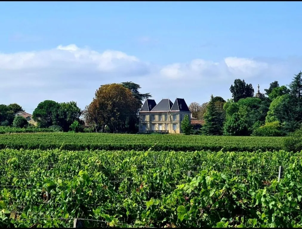 Château Tanesse de Tourny, chambre ou suite de château à Bayon-sur-Gironde