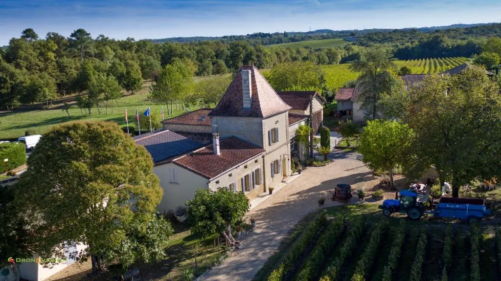 Château Vieux Mougnac, gîte de château à Petit-Palais-et-Cornemps