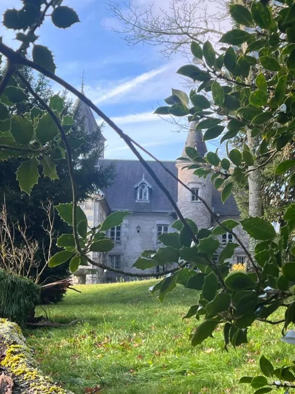 Domaine du Château de Crocq, chambre ou suite de château à Crocq
