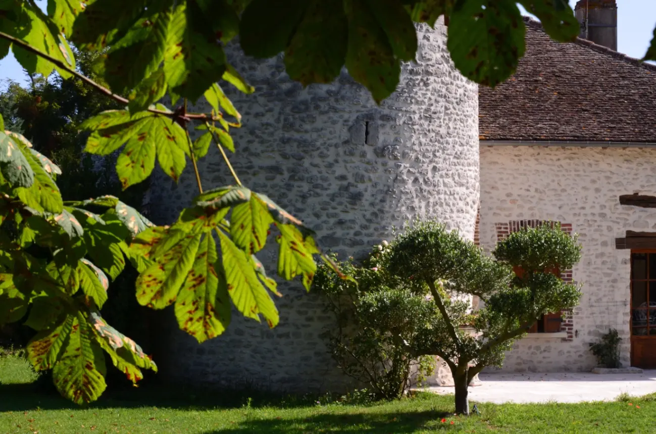 Domaine du Vieux Donjon, château entier à Pressigny-les-Pins