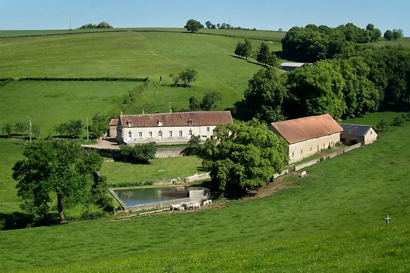 Domaine du Vieux Donjon à Pressigny-les-Pins, photo 3