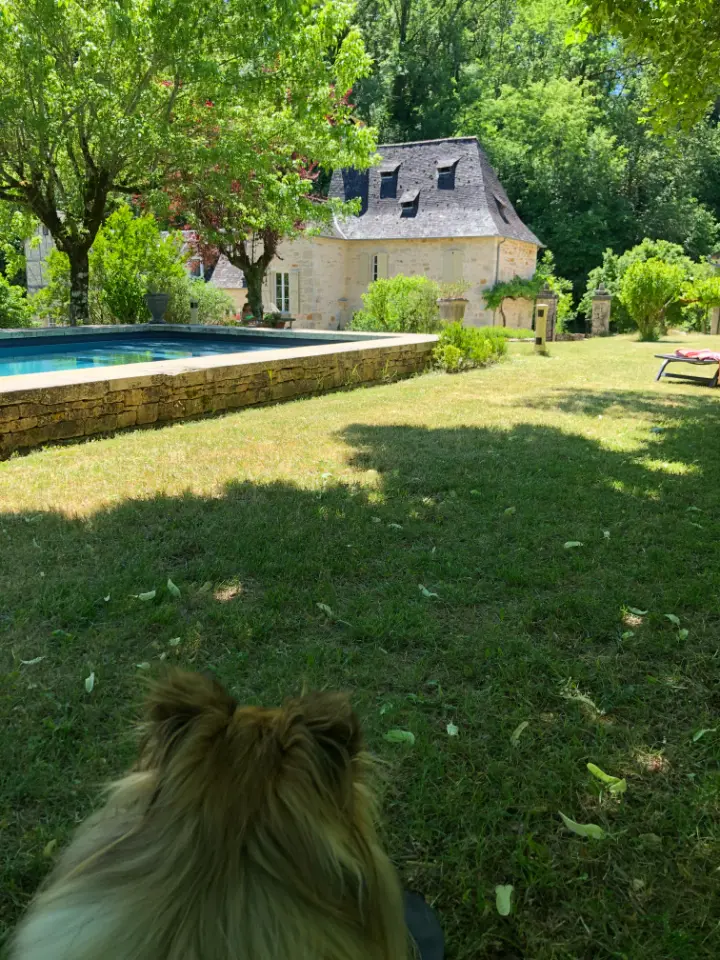 Gentilhommière périgourdine de Cressensac à Cressensac-Sarrazac, photo 3