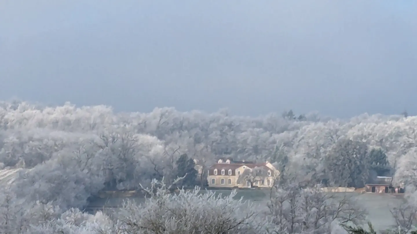 Gîte Château de Montboulon à Perrigny, photo 4