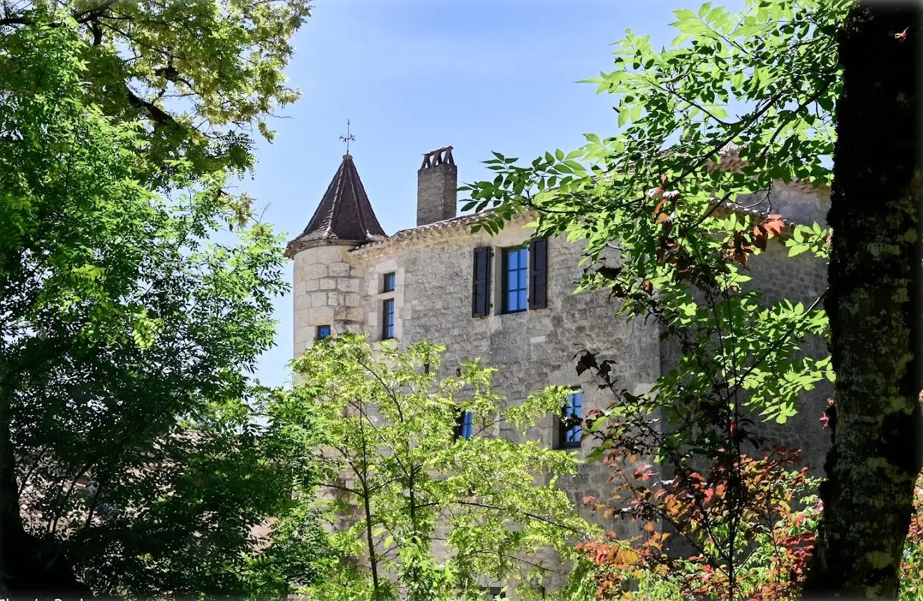 Gîtes du Château de Belmont-Sainte-Foi à Belmont-Sainte-Foi, photo 5
