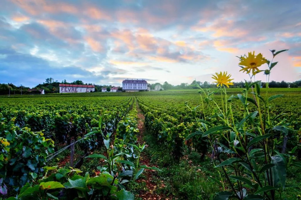 Gîtes du Château de Comblanchien, gîte de château à Comblanchien