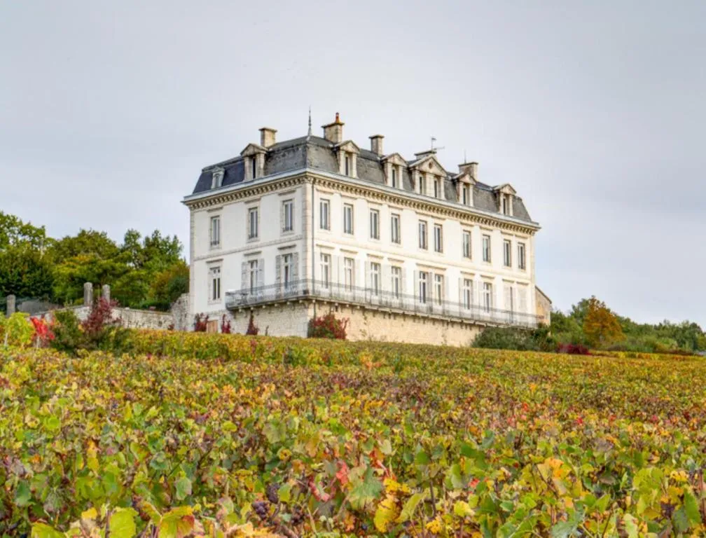 Gîtes du Château de Comblanchien à Comblanchien, photo 6
