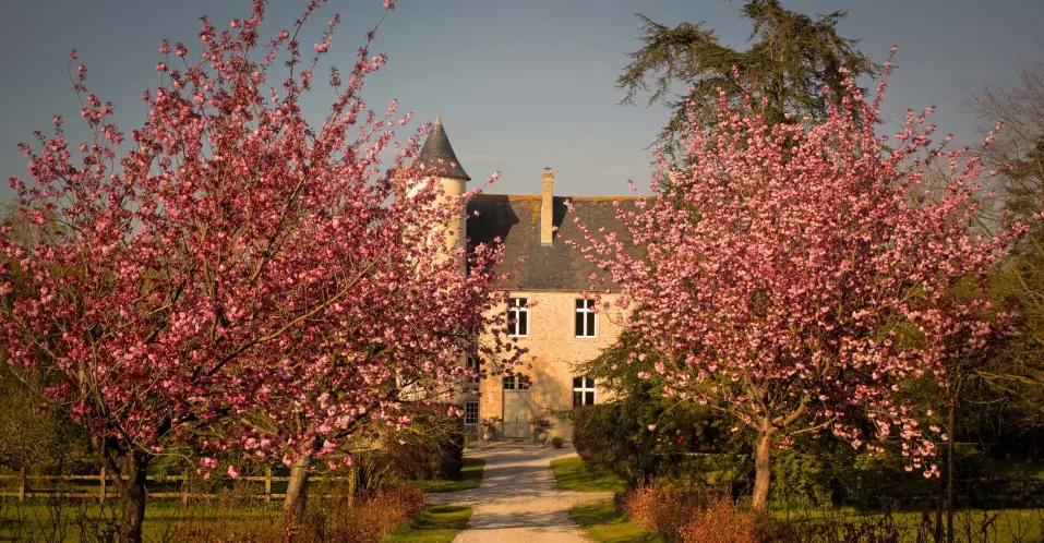 Gîtes du Château de Monfréville, gîte de château à Monfréville