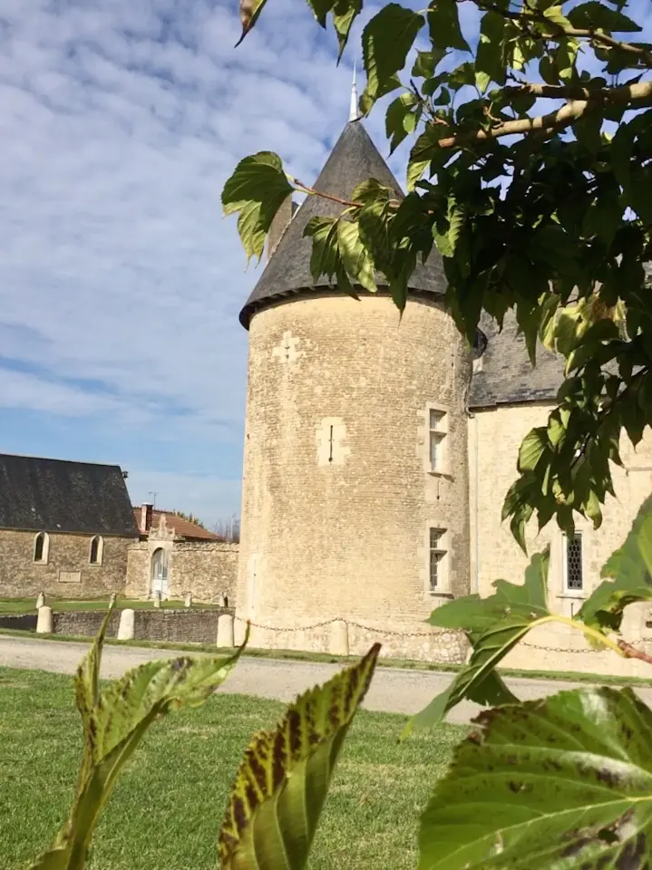 Gîtes du Château de Saveilles à Paizay-Naudouin-Embourie, photo 4