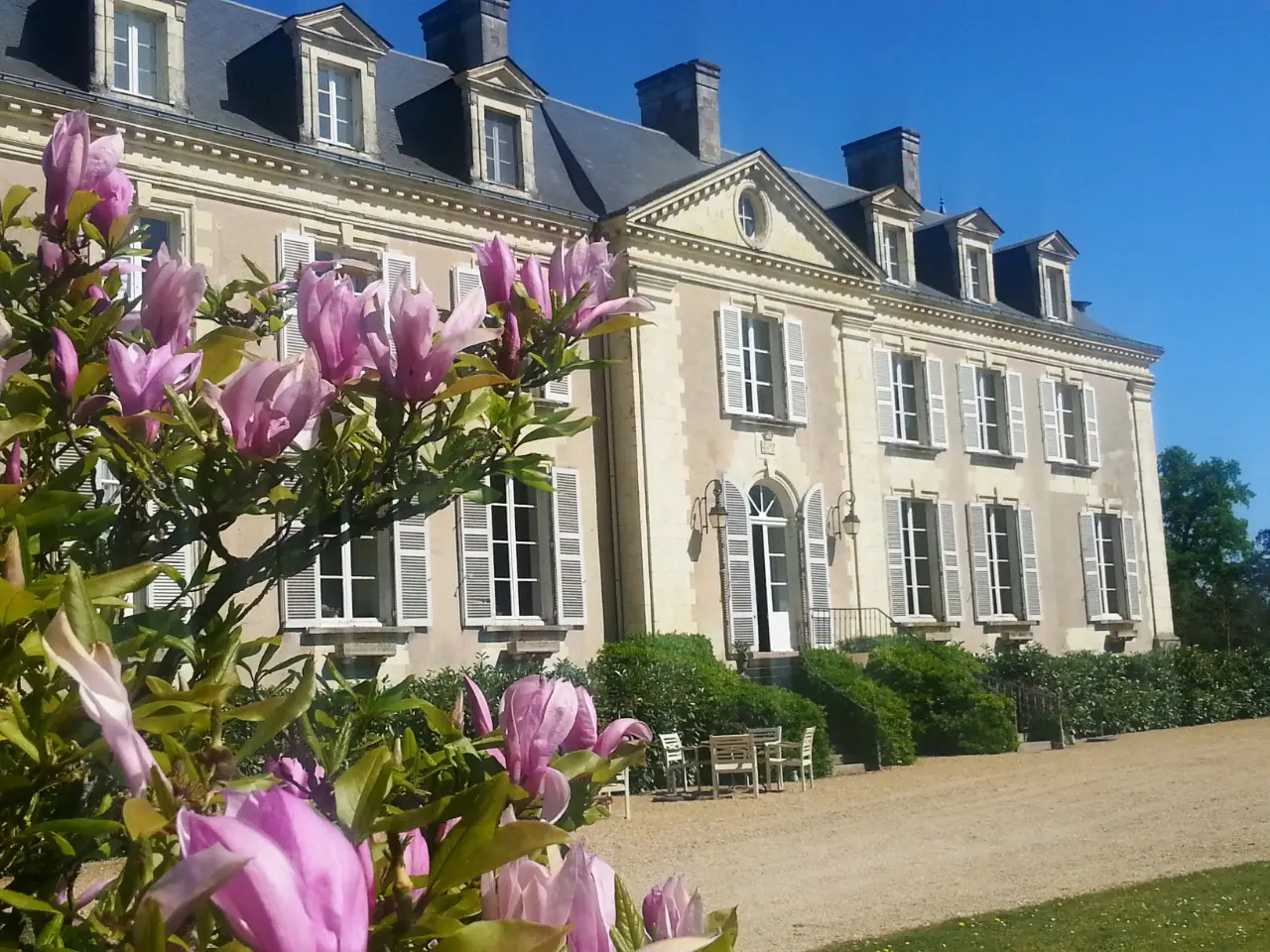 Gîtes du Château la Mothaye à Les Bois d'Anjou, photo 4