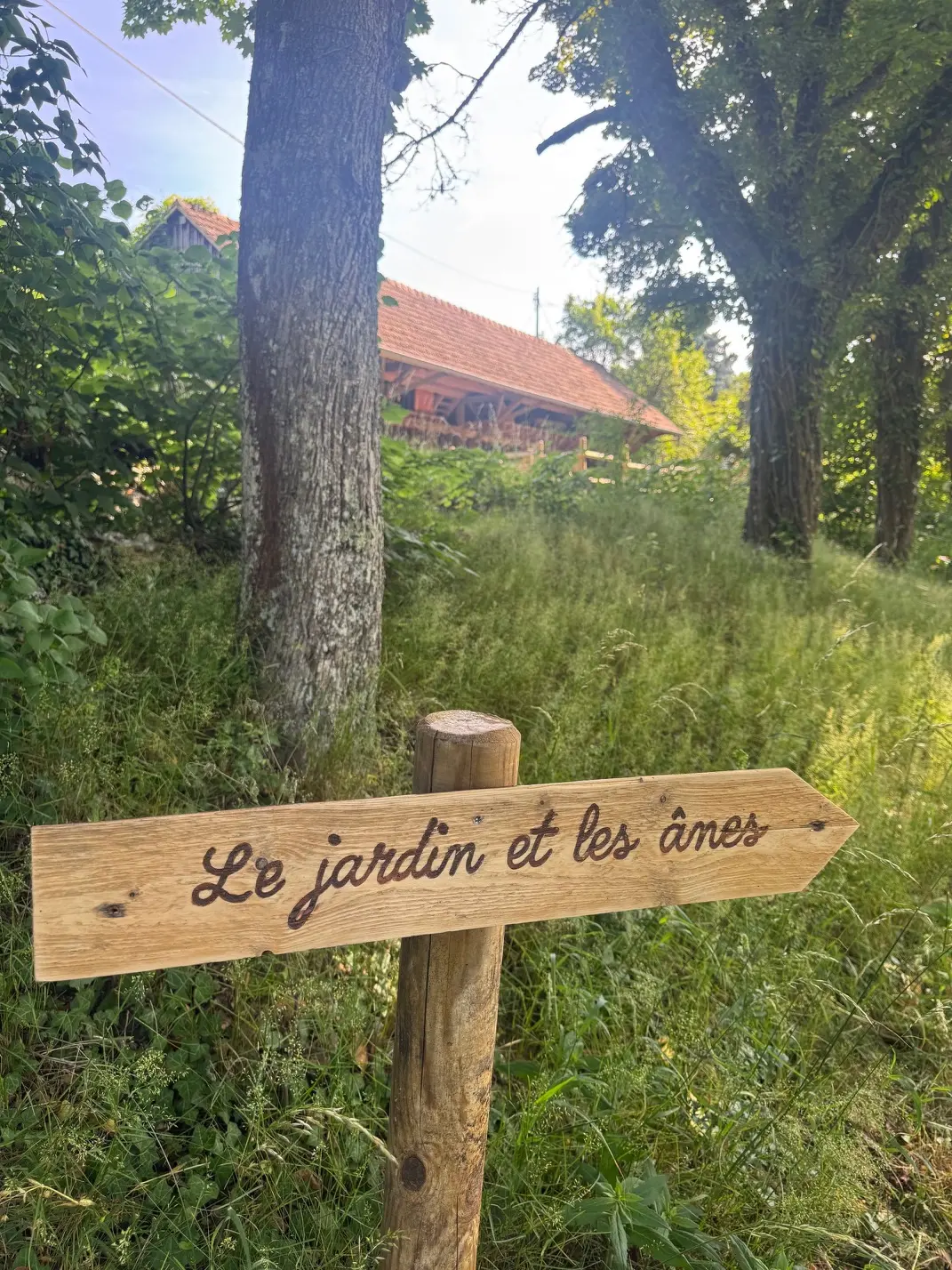 Gîtes du Manoir des Sens à Rodern, photo 7