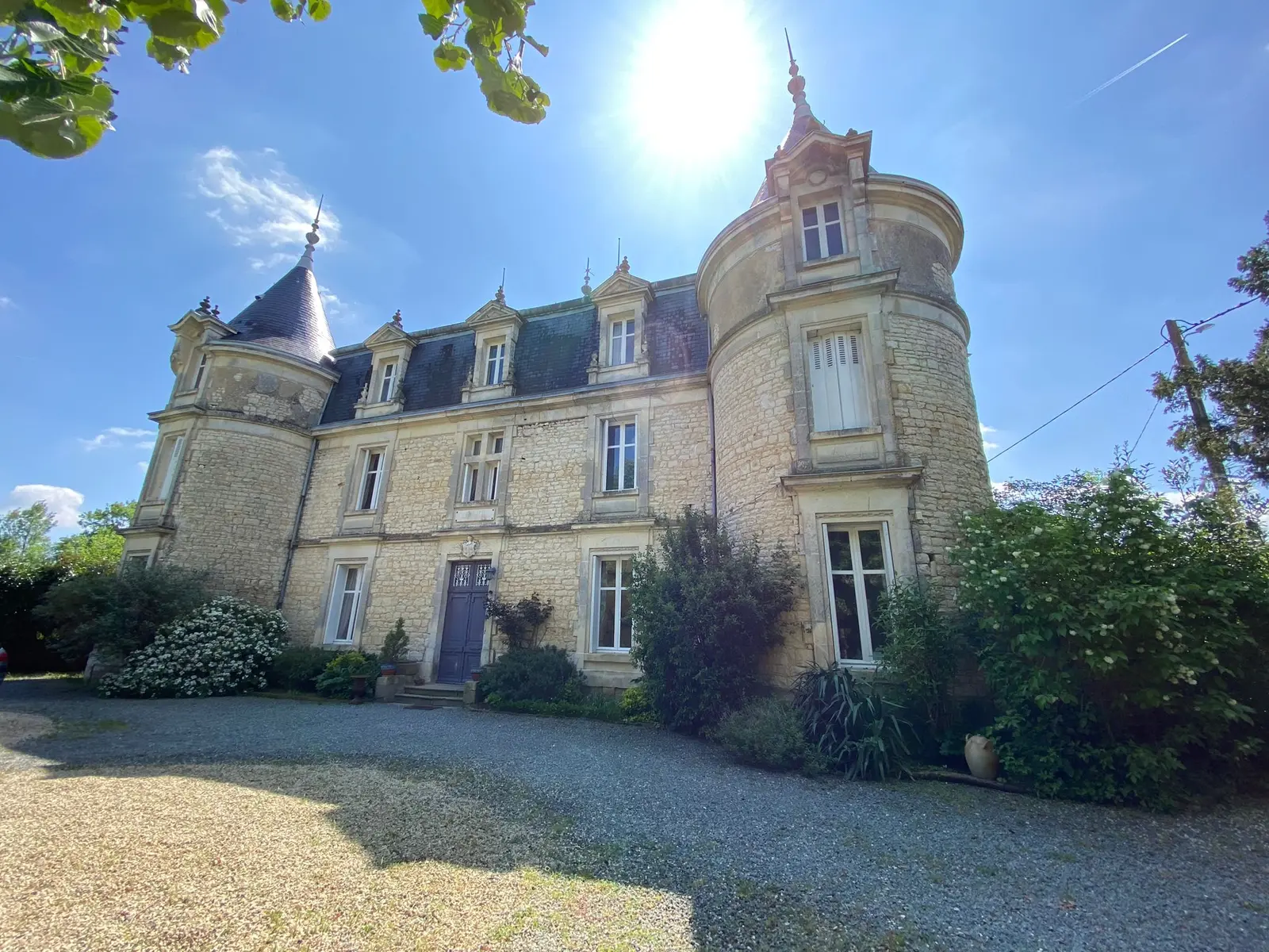 Grand Gîte du Château de Fors à Fors, photo 2