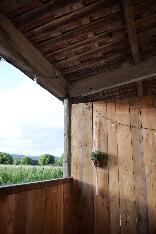 Maison Stony du Château de Stony à Frontignan, photo 5