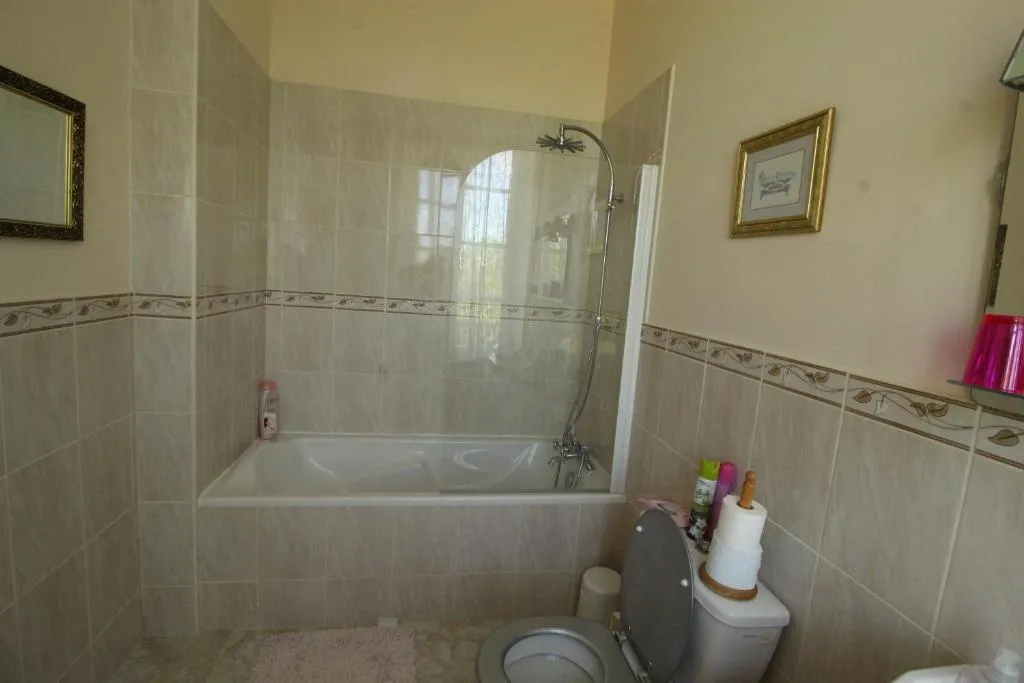 Manoir Angle à Blanzay-sur-Boutonne, photo 6
