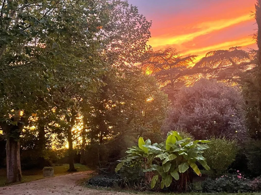 Manoir d'Armagnac à Courrensan, photo 5