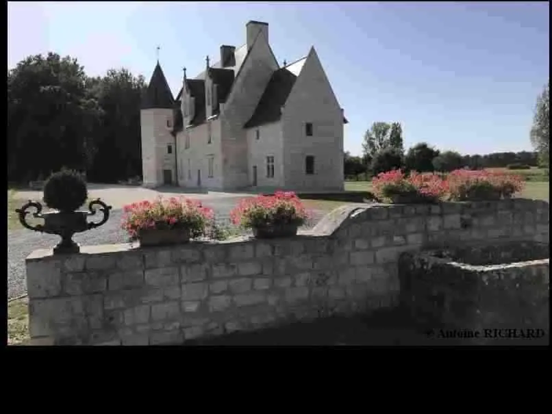Manoir de Chandoiseau, manoir à Les Trois-Moutiers