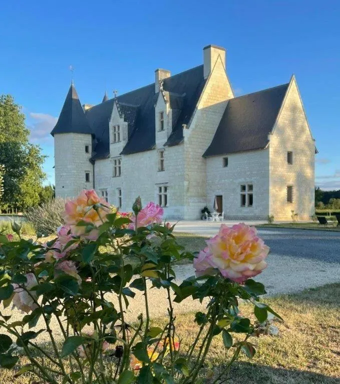 Manoir de Chandoiseau à Les Trois-Moutiers, photo 5