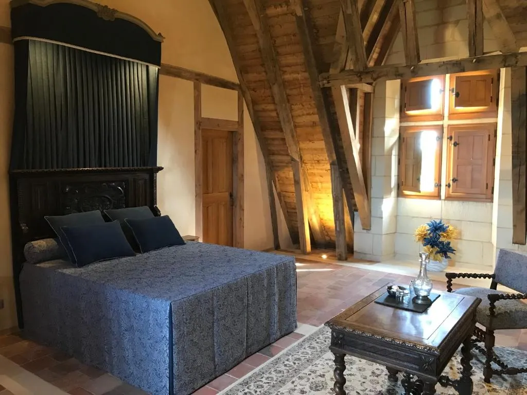 Manoir de Chandoiseau à Les Trois-Moutiers, photo 7