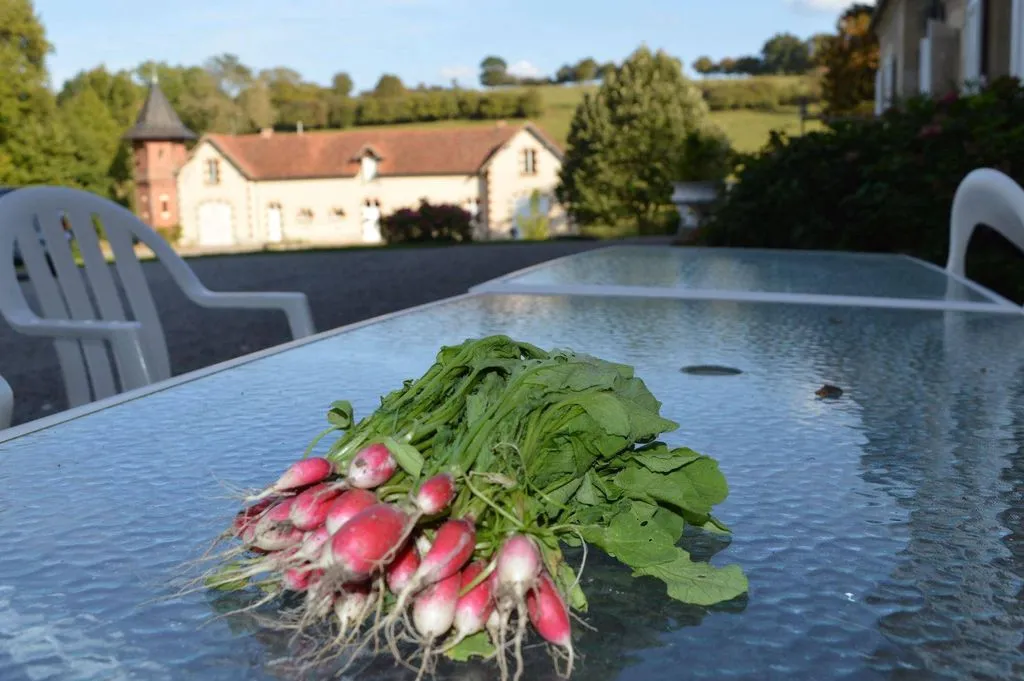 Manoir de Curty à Imphy, photo 4