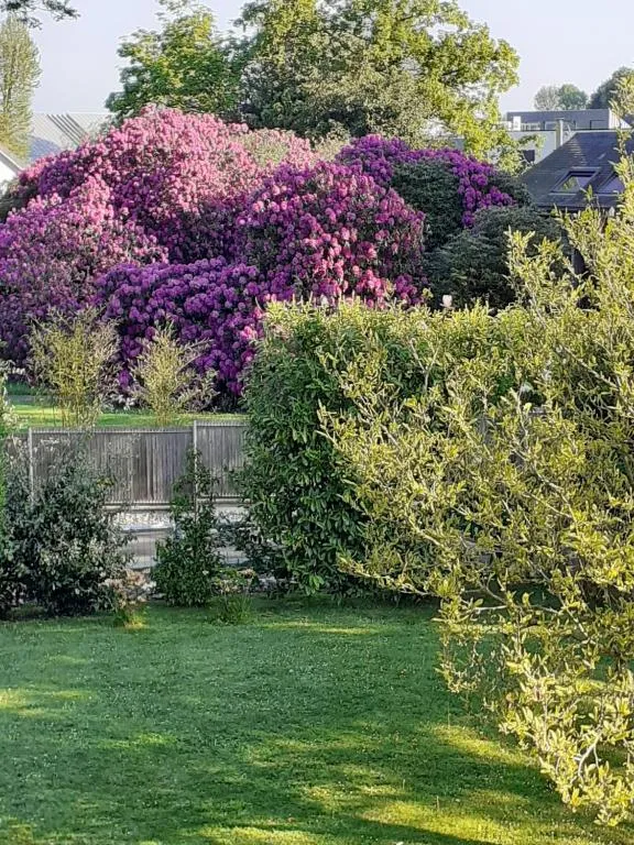 Manoir de l'As de Trèfle à Isneauville, photo 7