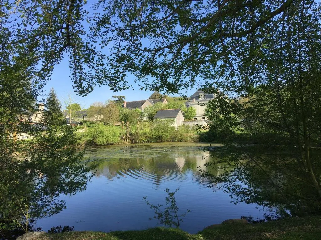 Manoir de l'Herbier à Blaison-Saint-Sulpice, photo 5
