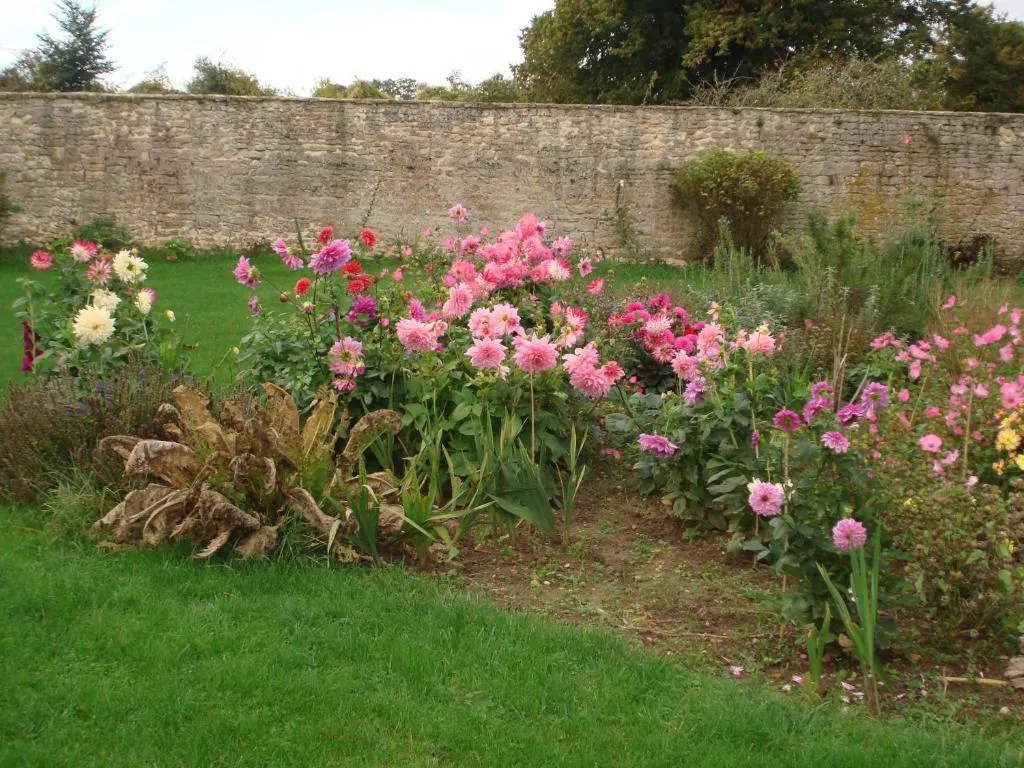 Manoir de la Baronnie à Boissei-la-Lande, photo 6