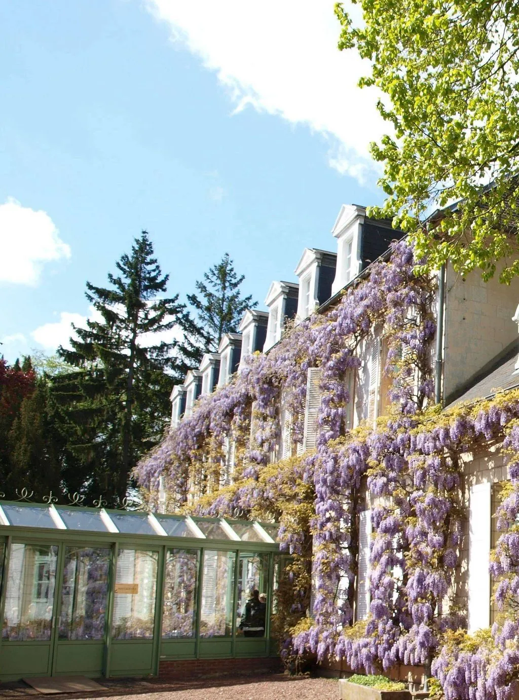 Manoir de la Canche à Hesdin-la-Forêt, photo 7