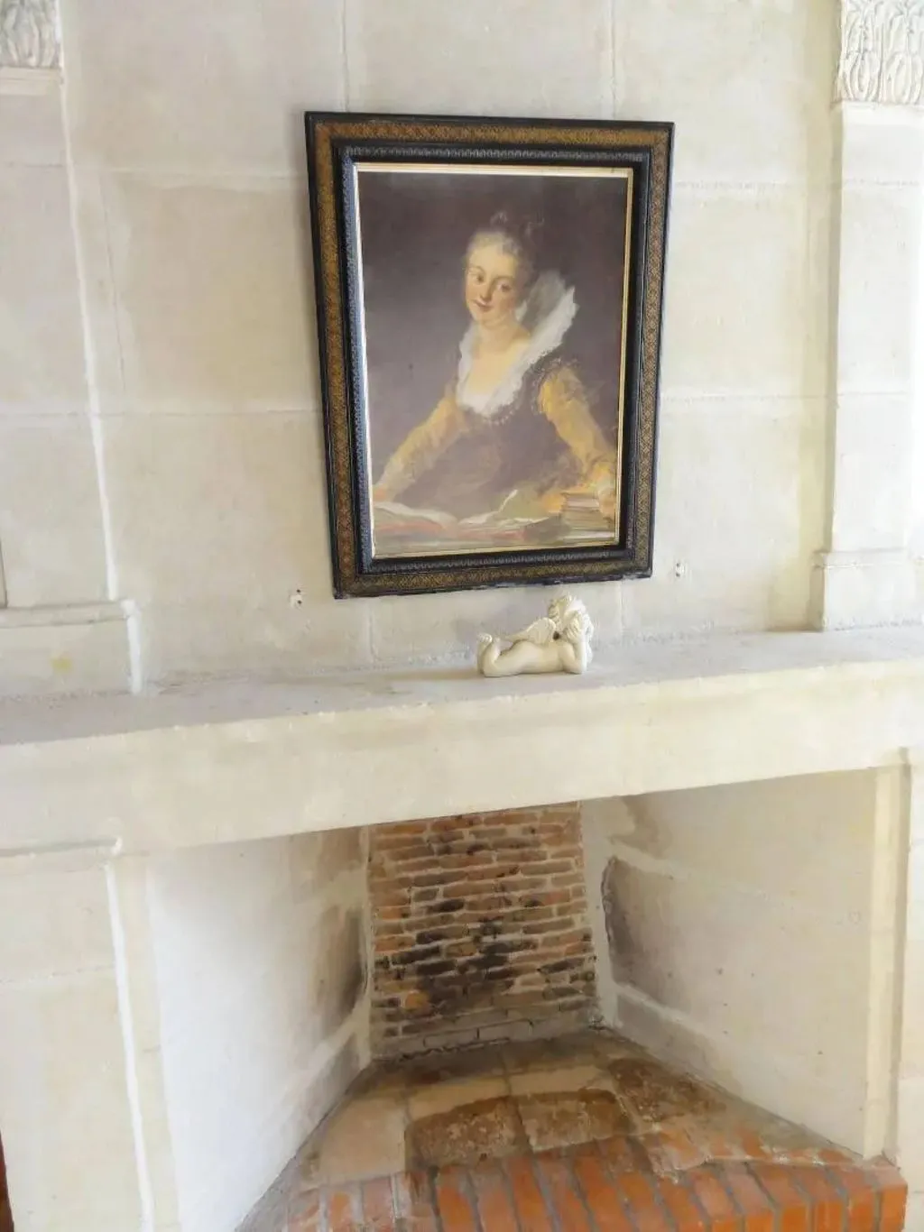 Manoir de la Giraudière à Beaumont-en-Véron, photo 5