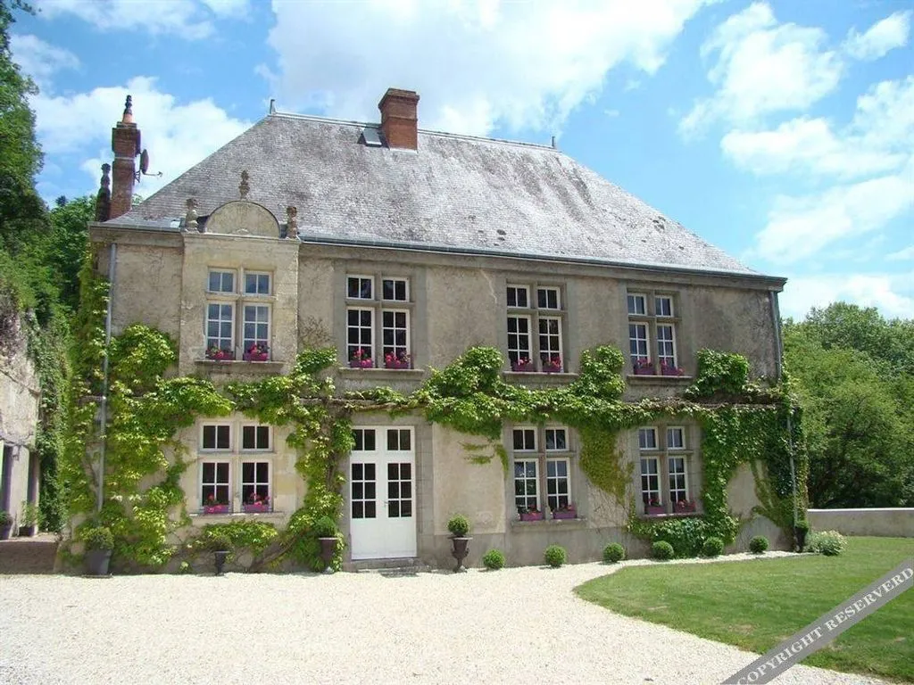 Manoir de la Guépière à Nazelles-Négron, photo 7