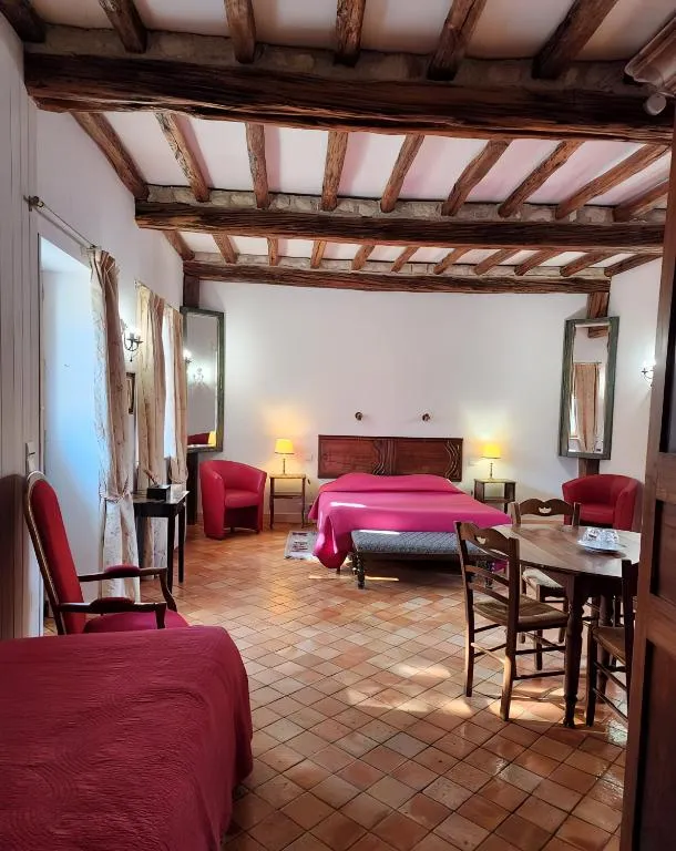 Manoir de la Maison Blanche à Amboise, photo 6