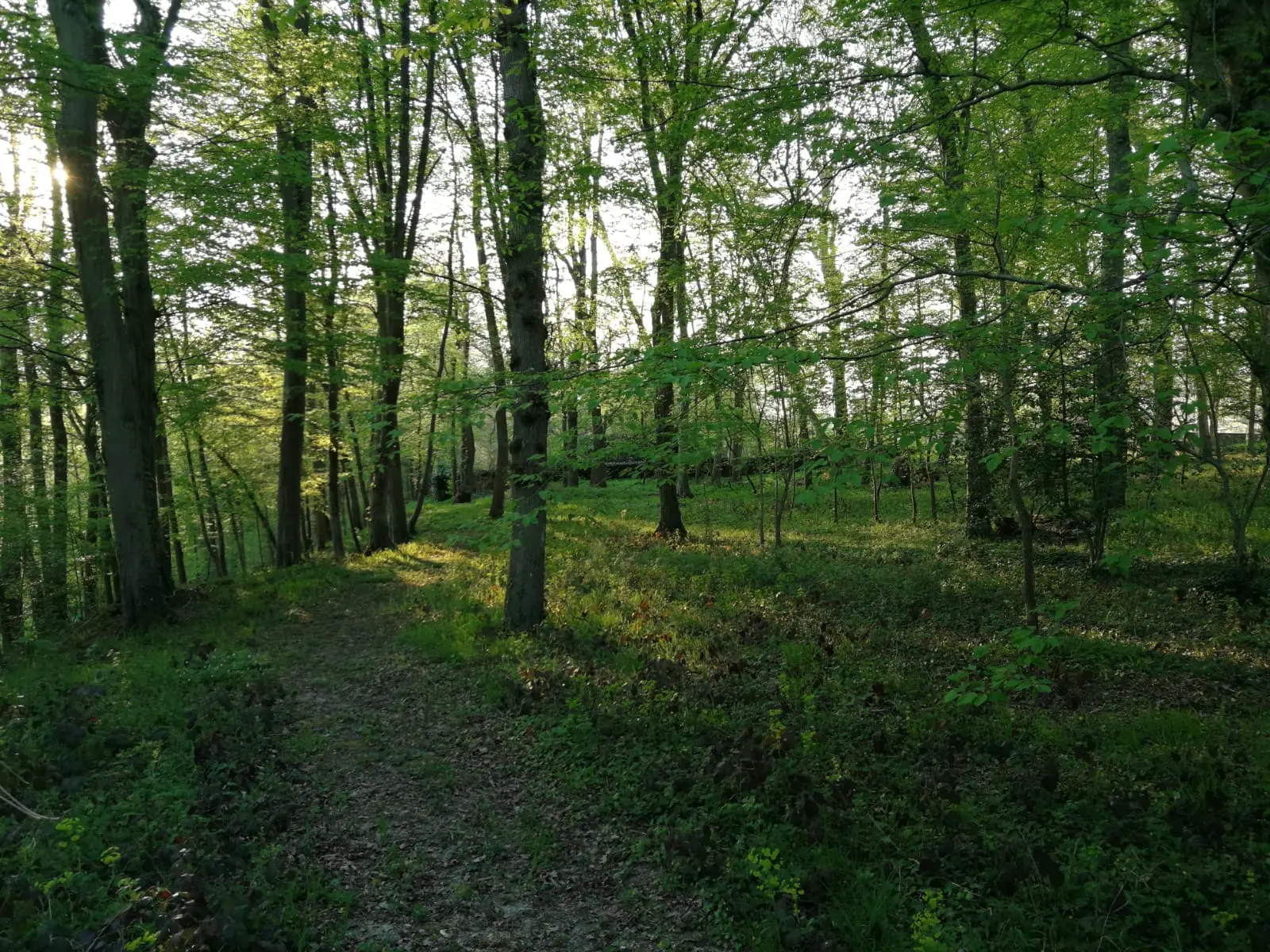 Manoir de la Tour à Beautheil-Saints, photo 7