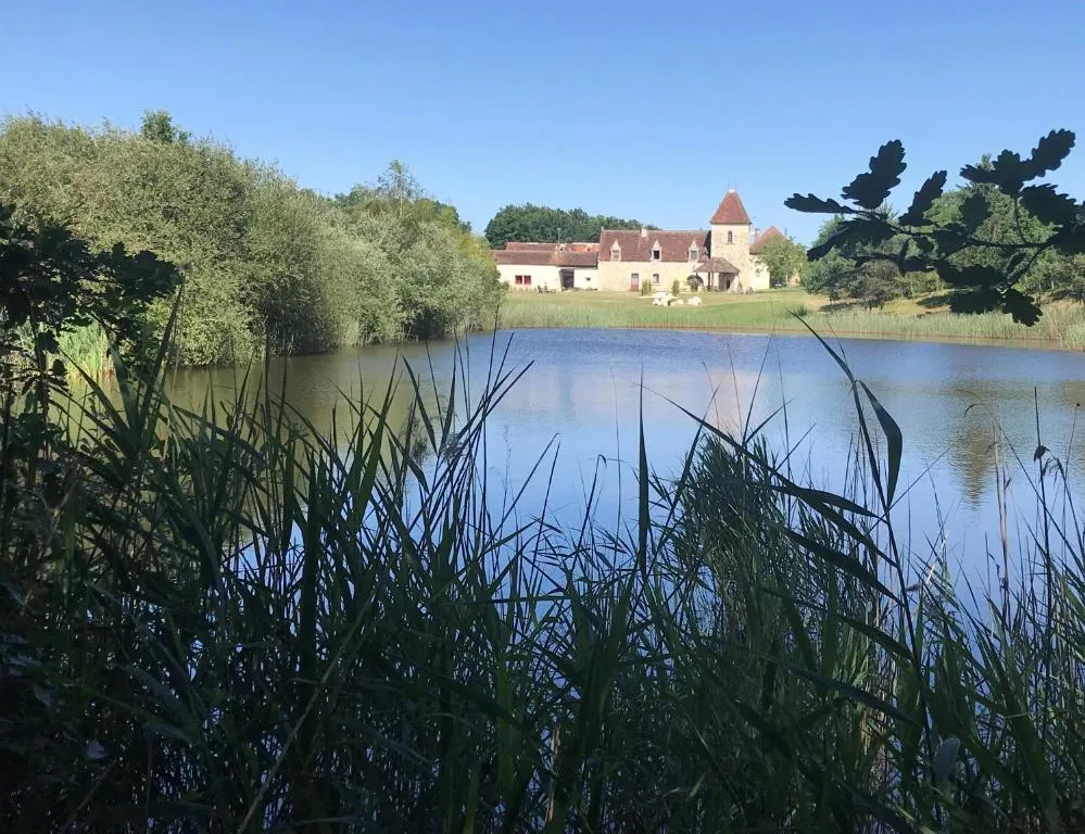 Manoir de Pierre Levée, manoir à Tournon-Saint-Martin