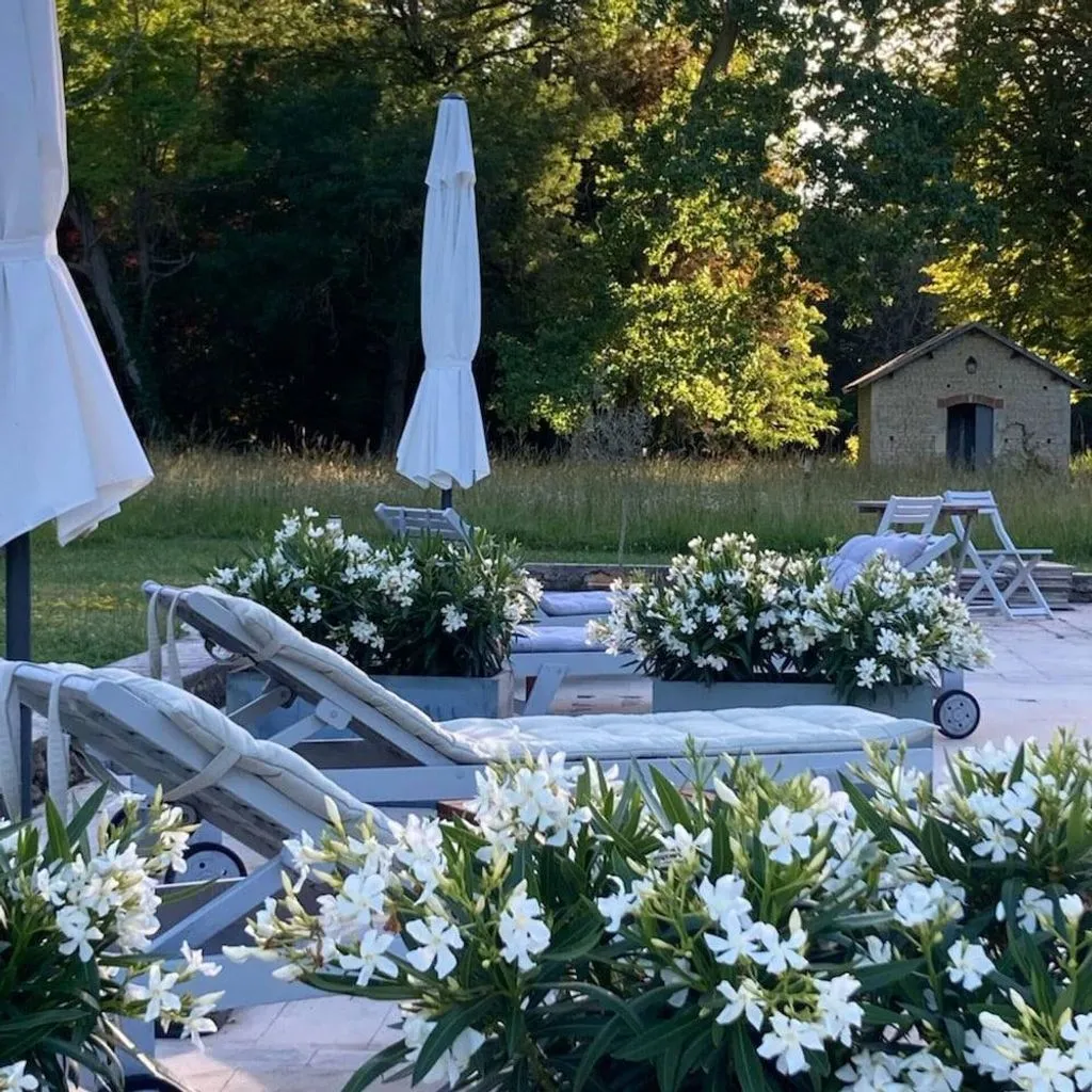 Manoir de Plaisance à Benon, photo 3