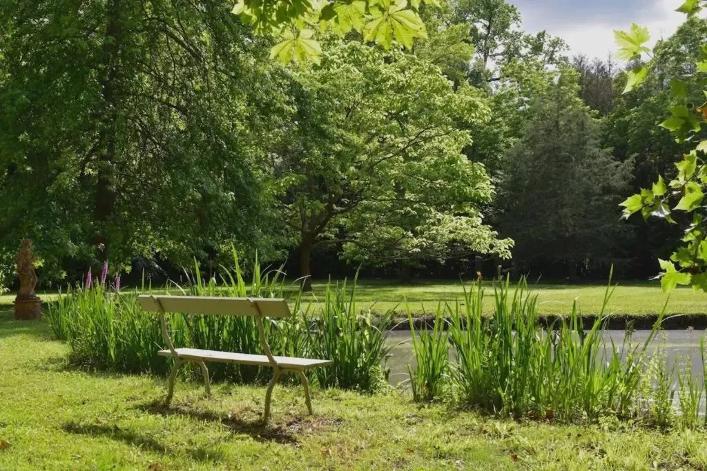 Manoir de Plaisance à Benon, photo 5